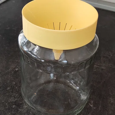 Nắp Bẫy Ruồi Giấm Thân Thiện Môi Trường (Eco-Friendly Fruit Fly Trap Lid)