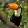 IanNielsen_2467958