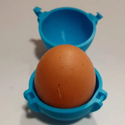 Egg - Saver (Hộp bảo vệ trứng khi mang đi)