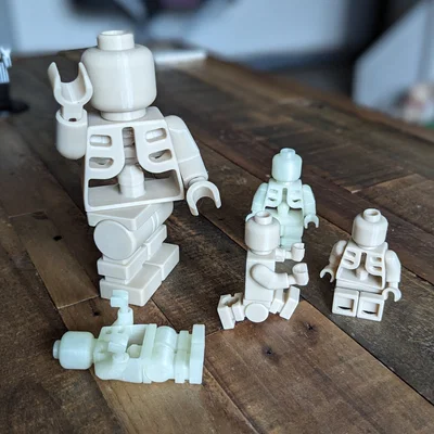 Mô hình xương khớp cử động lắp ráp (Skeleton moveable figure)
