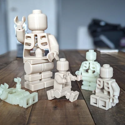 Mô hình xương khớp cử động lắp ráp (Skeleton moveable figure)