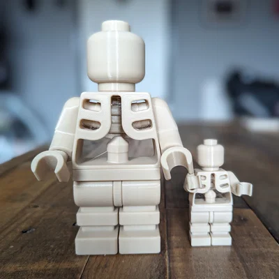 Mô hình xương khớp cử động lắp ráp (Skeleton moveable figure)