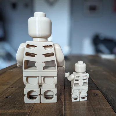 Mô hình xương khớp cử động lắp ráp (Skeleton moveable figure)