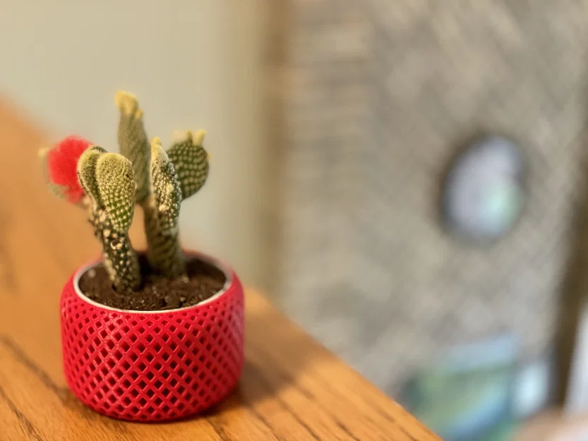 Chậu trồng cây tự tưới xoắn ốc (Helical Self Watering Planters) - Image 2