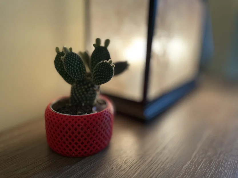 Chậu trồng cây tự tưới xoắn ốc (Helical Self Watering Planters) - Image 4