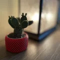 Chậu trồng cây tự tưới xoắn ốc (Helical Self Watering Planters) - Thumbnail 4