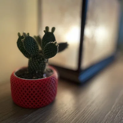 Chậu trồng cây tự tưới xoắn ốc (Helical Self Watering Planters)