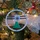 lukabouffard_1503150