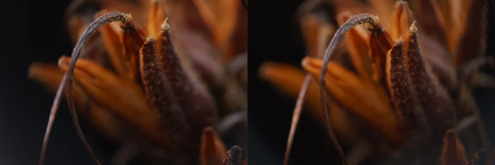 Ống kính macro 3D lập thể (phóng đại 2x) cho máy ảnh Sony FE - Image 8