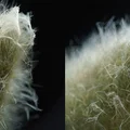 Ống kính macro 3D lập thể (phóng đại 2x) cho máy ảnh Sony FE - Thumbnail 11