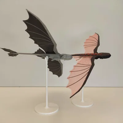 Rồng Đêm Bay Lượn (Flying Night Dragon)