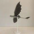 Rồng Đêm Bay Lượn (Flying Night Dragon) - Thumbnail 2