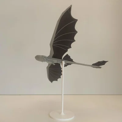 Rồng Đêm Bay Lượn (Flying Night Dragon)