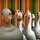 EuanAdamson_1393117