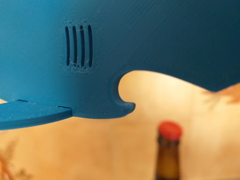 Cá mập mở nắp chai (Bottle opener shark) - Image 5