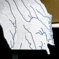 Bản đồ địa hình nổi Georgia, USA (GA) kèm sông ngòi - Thumbnail 4