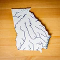 Bản đồ địa hình nổi Georgia, USA (GA) kèm sông ngòi - Thumbnail 9