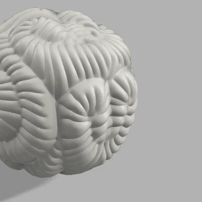 Zen balls: Quả cầu in 3D tạo họa tiết độc đáo cho vườn thiền