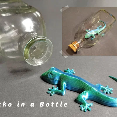 Message in a Bottle (Brain Teaser) – Thông điệp trong chai (đố mẹo)