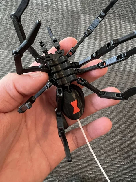 Nhện khớp nối – Dấu hiệu Black Widow trên bụng dưới - Image 1