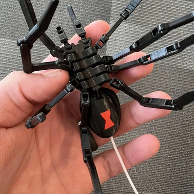 Nhện khớp nối – Dấu hiệu Black Widow trên bụng dưới