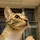earlmckay_126052