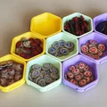 Ly phân loại lồng ghép (hình lục giác) - Phiên bản 2 - Thumbnail 1