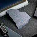 Bản đồ địa hình South Carolina, USA (SC) kèm sông ngòi - Thumbnail 1