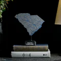 Bản đồ địa hình South Carolina, USA (SC) kèm sông ngòi - Thumbnail 4