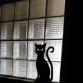 Silhouette Mèo Mắt Phát Sáng - Thumbnail 2
