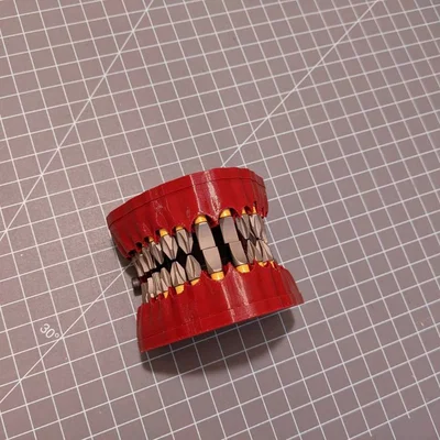 Kẹp Giữ Mũi Vít Cho Hàm Răng Giả Có Nam Châm (Denture Bit Holder With Magnets!)