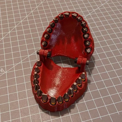 Kẹp Giữ Mũi Vít Cho Hàm Răng Giả Có Nam Châm (Denture Bit Holder With Magnets!)