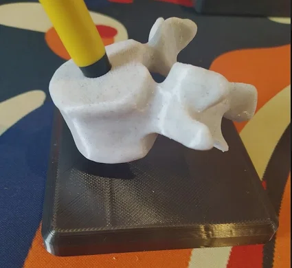 Giá Cắm Bút/Bút Chì Đốt Sống (Vertebrae Pen Pencil Holder) - Image 1