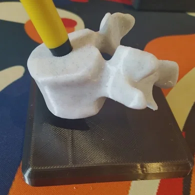 Giá Cắm Bút/Bút Chì Đốt Sống (Vertebrae Pen Pencil Holder)