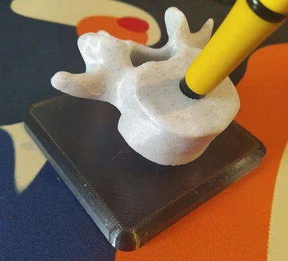 Giá Cắm Bút/Bút Chì Đốt Sống (Vertebrae Pen Pencil Holder) - Image 2
