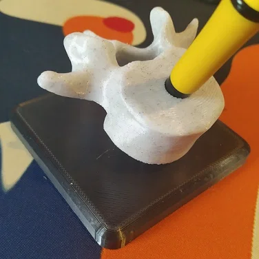 Giá Cắm Bút/Bút Chì Đốt Sống (Vertebrae Pen Pencil Holder)