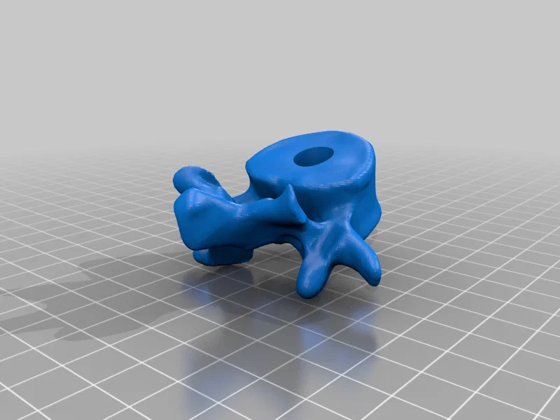 Giá Cắm Bút/Bút Chì Đốt Sống (Vertebrae Pen Pencil Holder) - Image 9