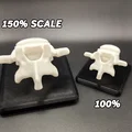 Giá đỡ danh thiếp hình đốt sống độc đáo cho bàn làm việc - Thumbnail 2