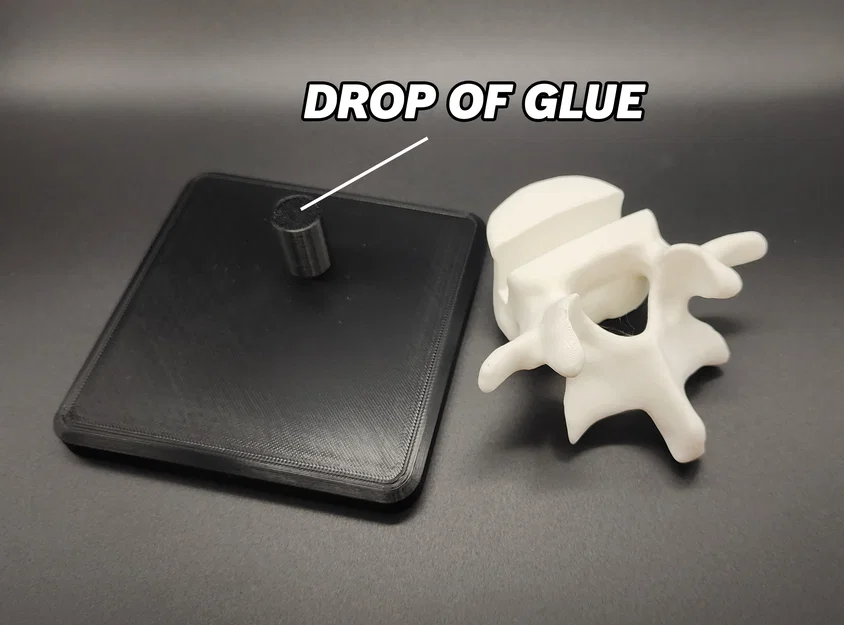 Giá đỡ danh thiếp hình đốt sống độc đáo cho bàn làm việc - Image 3