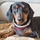 Supraguy_1803187