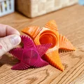 Super Flexi Star – Ngôi Sao Dẻo Lò Xo - Thumbnail 1