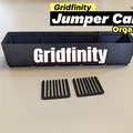 Gridfinity Jumper Cable Holder Organizer – Khay sắp xếp dây jumper - Thumbnail 1