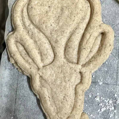Khuôn cắt bánh quy Springbok Cookie