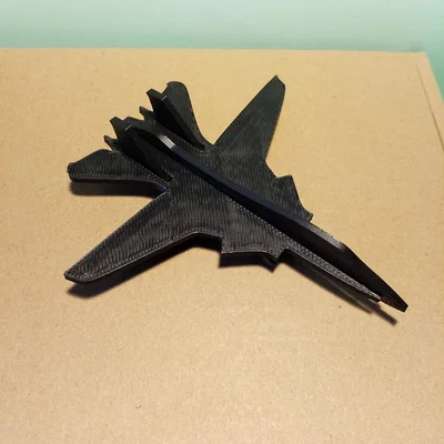 Mô hình máy bay chiến đấu F-14 đơn giản - File in 3D