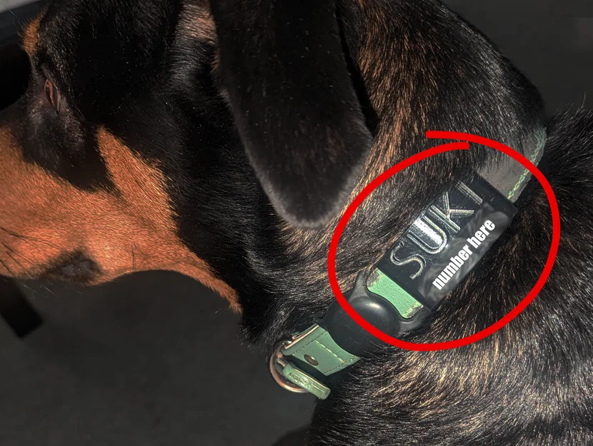 Heavy Duty Dog Tag (CUSTOMIZABLE) (UPDATED) – Thẻ tên gắn hông vòng cổ - Image 1