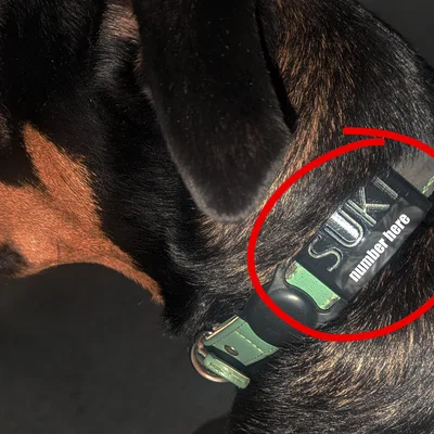 Heavy Duty Dog Tag (CUSTOMIZABLE) (UPDATED) – Thẻ tên gắn hông vòng cổ