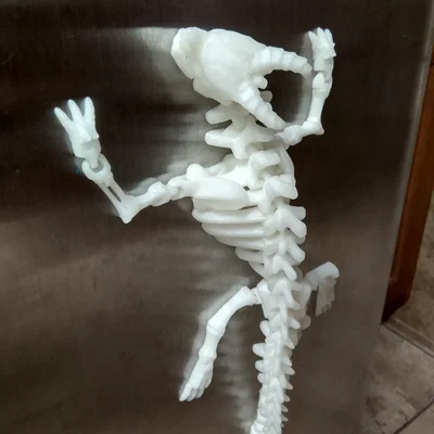 Rồng Xương Khớp Nối Nam Châm (Magnetic Articulated Skeleton Dragon)