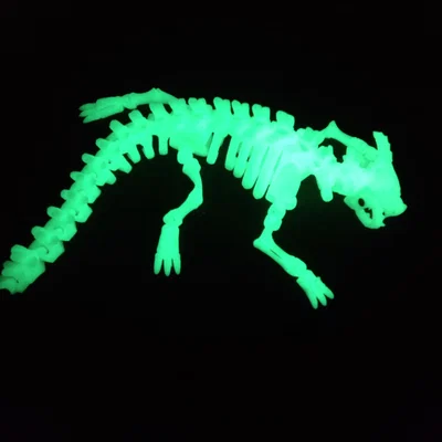 Rồng Xương Khớp Nối Nam Châm (Magnetic Articulated Skeleton Dragon)