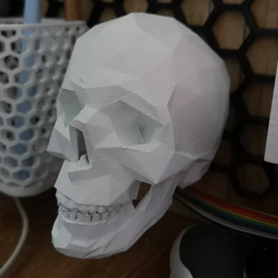 Mô hình đầu lâu Low Poly trang trí cho Honeycomb Storage Wall