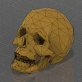Mô hình đầu lâu Low Poly trang trí cho Honeycomb Storage Wall - Thumbnail 2